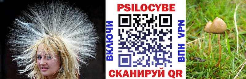 МЕГА ONION  Ермолино  Галлюциногенные грибы Psilocybe 