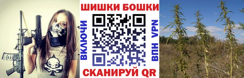 Бошки Шишки семена  Ермолино 